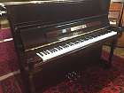 Yamaha P121 (u1)