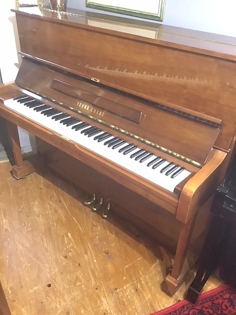 Young   Chang U1 traditional