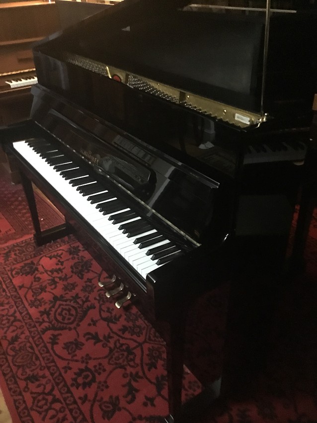 Shimmel Concert upright 114